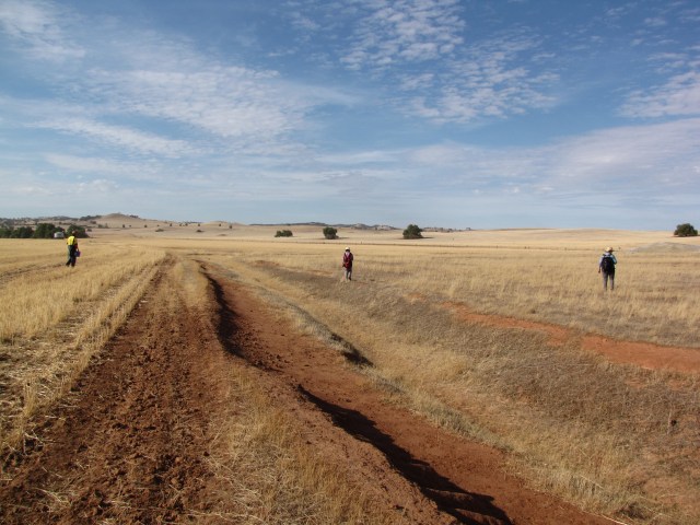 GPS transect survey at Baker's Flat