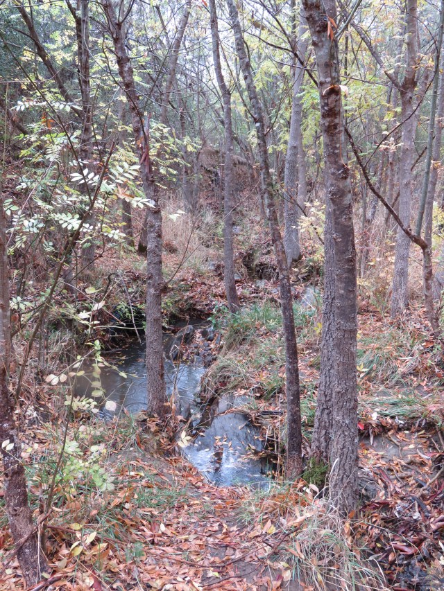 Magpie Creek