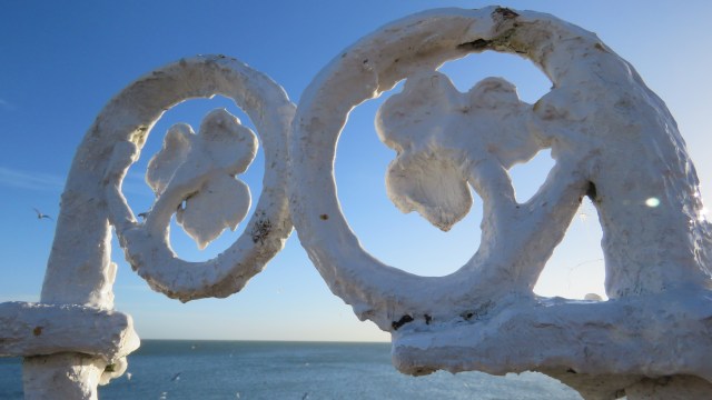 Shamrocks on a fence at Dun Laoghaire east pier